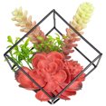 thumbnail image 1 of Northlight 5.5" Artificial Succulent Arrangement in Black Metal Wire Frame, 1 of 5