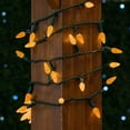 thumbnail image 3 of Novelty Lights 24FT 70 LED C6 Orange Halloween Lights, Green Wire, 3 of 8