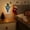 A, variant on Christmas Night Light Night Lights Plug Into Wall Christmas Gifts Cute Night Light For Kids Plug In Nightlight Rotatable For Christmas Decorations Party