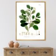 thumbnail image 3 of Designart Vintage Botanicals IV FLOAT FRAME WALL ART, 3 of 4