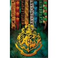 thumbnail image 1 of The Wizarding World: Harry Potter - Emblèmes de maison, 1 of 4