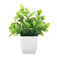 thumbnail image 1 of Bgsha Home Decor Small Lavender Eucalyptus Plant in Pot with Realistic Design, 1 of 10