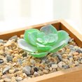 thumbnail image 1 of DIY Artificial Succulent Flocked Plant Fake Cactus Lotus Home Garden Decor, 1 of 1