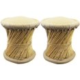 thumbnail image 1 of Natural Geo Tabouret d'Appoint en Moray (Ensemble de 2) - Similicuir Beige, 1 of 1