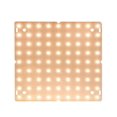 thumbnail image 1 of Dernières Lampes de Culture Led à Spectre Complet, Ampoule pour Plantes, Lumière de Croissance pour Plantes d'Intérieur en Serre, Plusieurs Couleurs Offertes, 1 of 7