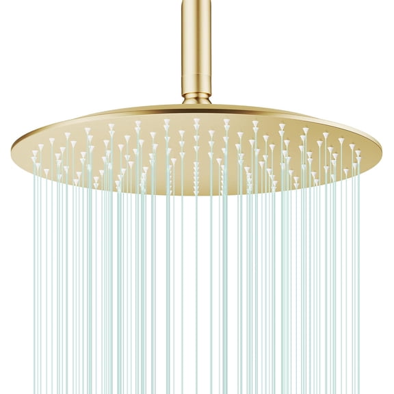 Pomme de Douche Pluie Ronde Pomme de Douche Débit Élevé Acier Inoxydable Pomme de Douche Pluie Conception Haute Pression (BChrome)