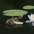 thumbnail image 1 of Ornements Flottants de Simulation pour Étang de Jardin et Piscine, 1 of 4