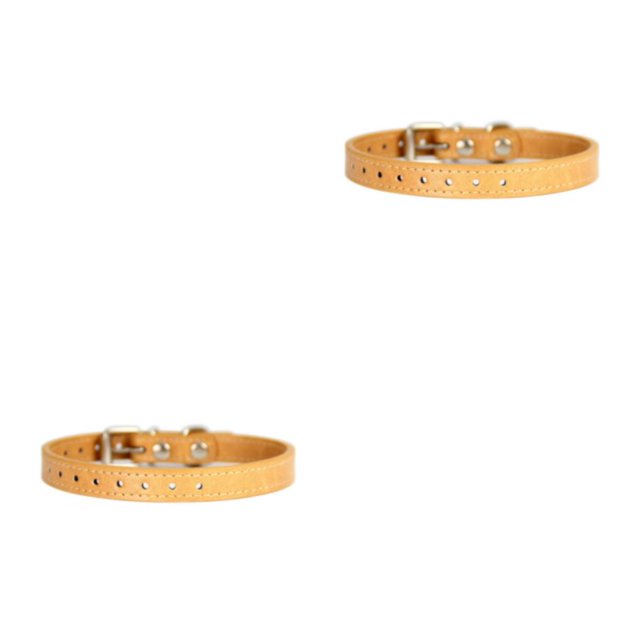 Youkk 1/2/3/5 Collier de Chat Durable et Durable - pour une Expérience Sans Souci Whelping Col Nouveau-Né Chien Whelping Collier Réglable Kaki 2PCS