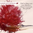 thumbnail image 3 of Garnier Whole Blends Huile de Ricin Huile de Ricin Remède Shampooing, 3 of 7