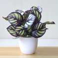 thumbnail image 4 of Artificial Potted Plant Leaf Simulation Leaves Home Office Desktop Greenery Decoration, 4 of 4