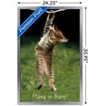 thumbnail image 3 of Célèbre chaton accroché là-bas Poster, 3 of 5
