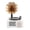 White, variant on Milaget Turntable Player Bluetooth 5.0 Classic for Decoration Pink