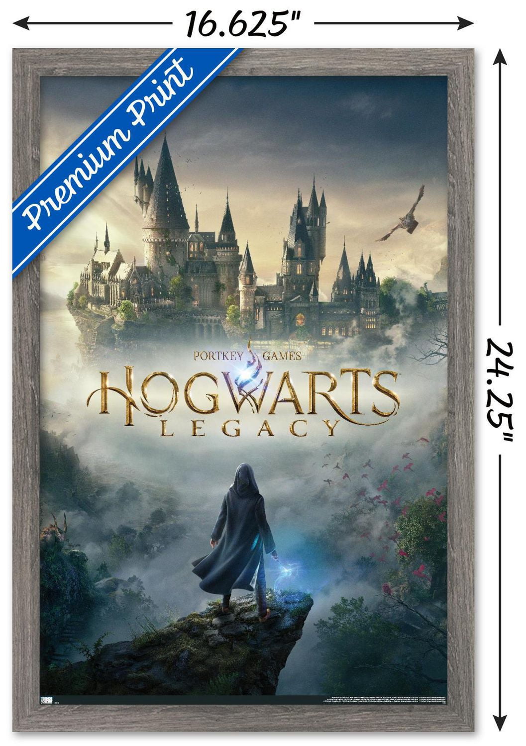 Harry Potter: Hogwarts Legacy - Key Art Wall Poster, 22.375" x 34"