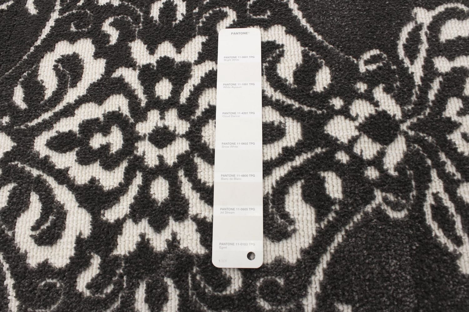 Tapis ECARPET Moderne pour Salle à Manger, Salon, Chambre Patty Gris