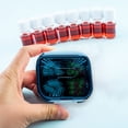 thumbnail image 3 of Tumotour Storage Box Portable Divided Into Compartments Sealed Padding Proof Mini Small Storage Box Transparent Portable Storage Box, 3 of 6