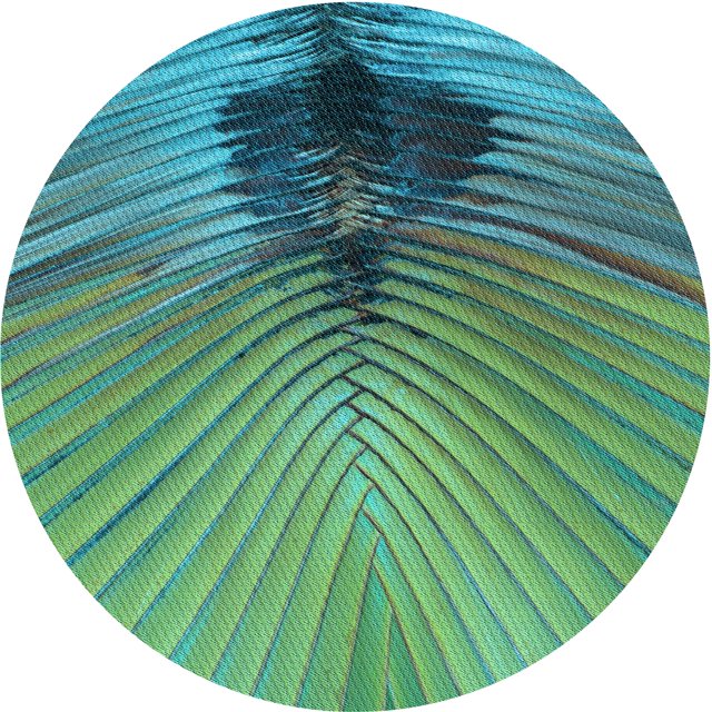 Ahgly Company Tapis d'Intérieur Ronds de Style Transitionnel Lavables à la Machine, Vert Mer, 7 Pieds Rond