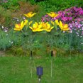 thumbnail image 5 of TIMIFIS Decorative Lights Solar Flower Lights Outdoor, Solar Flowers Garden Decorative Lights LED Stake Lights Auto On/Off Bright up to 8 Hrs Lighting & Ceiling, 5 of 5