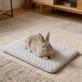 thumbnail image 1 of pstuiky Summer Cooling Pet Bed Ice Pad for Hamster Rabbit Small Animal Cage Portable Cooling Mat for Hot Weather |, 1 of 6