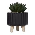 thumbnail image 4 of hometrends Cozby Faux Succulent in Black Pot, 4 of 5