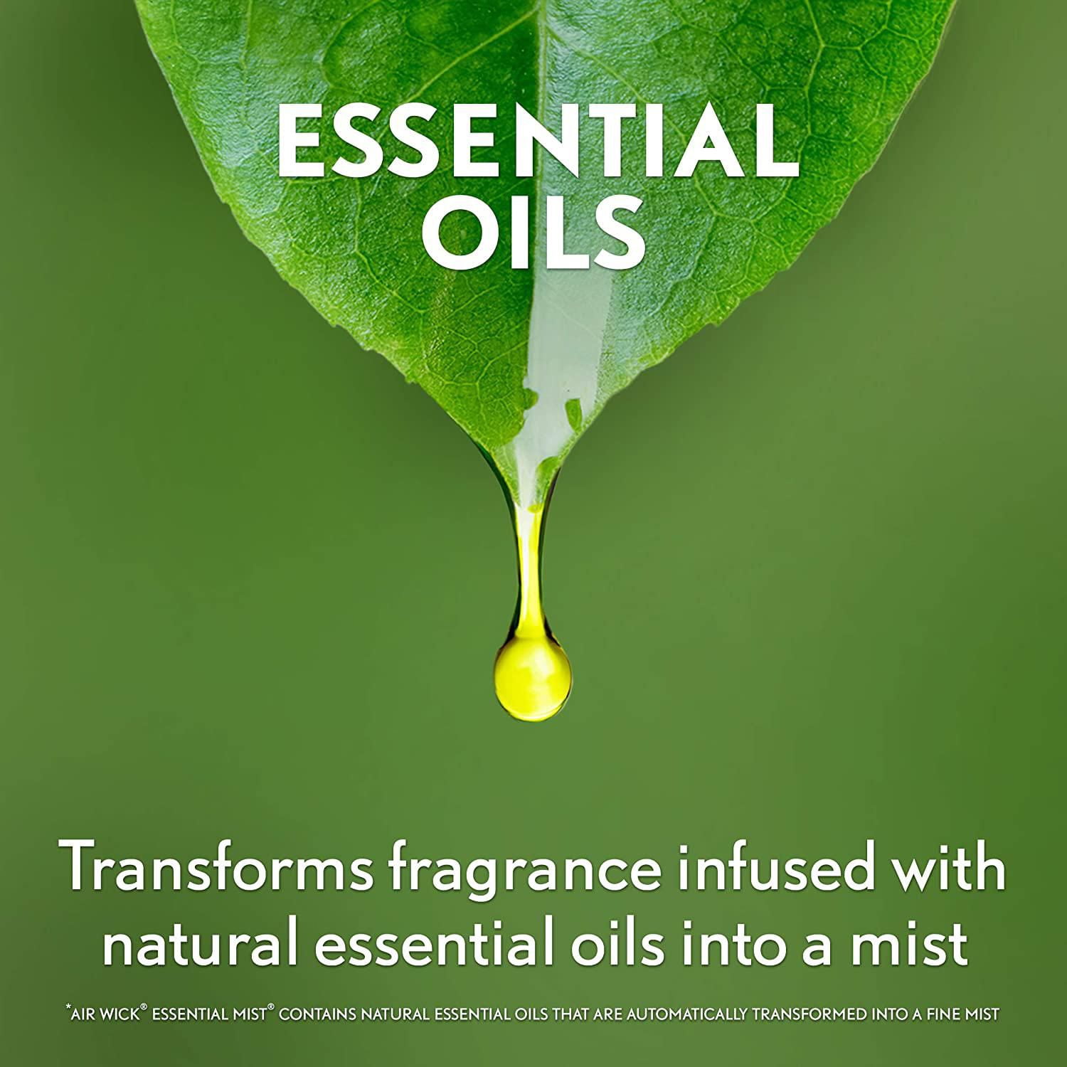Recharge de diffuseur d'huile parfumée Air Wick Essential Mist, Brise d'eaux fraîches, 3 unité, Assainisseur d'air