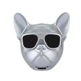 thumbnail image 1 of Haut-parleur pour Chien Portable Stéréo True Wireless Bluetooth Rechargeable : Argent, 1 of 8