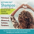 thumbnail image 3 of Nothing But Clarifying Shampoo Sulfate-Free Detox for Natural Hair | Hair Shampoo | Fragrance-Free | Removes Buildup | 12oz - Single, 3 of 5