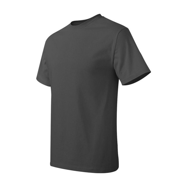 Hanes Men's Authentic-T T-Shirt - 5250T (Pack Of 3)