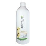 Matrix Biolage Smoothproof Shampooing 1L