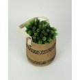 thumbnail image 3 of Pot de Fleurs Suspendu en Ciment pour Intérieur et Extérieur, 3 of 3