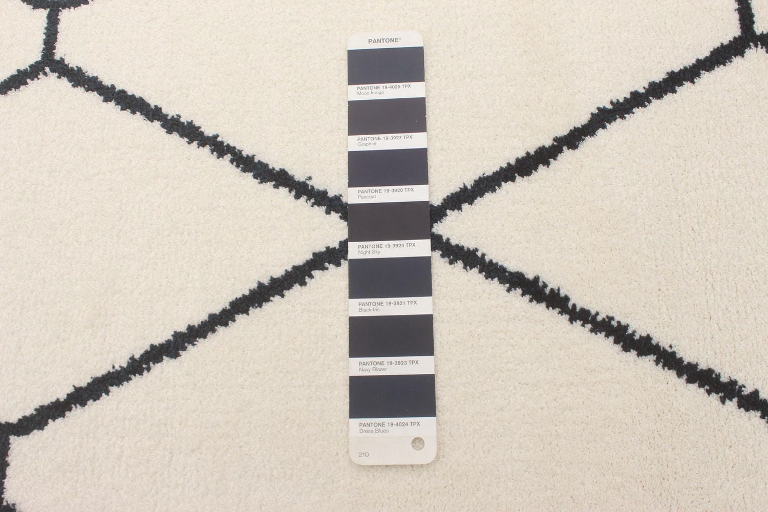 Tapis ECARPET Contemporain pour Salon, Chambre à Coucher, Salle Manger