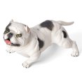 thumbnail image 2 of Modèle de Chien Jouet Éducatif, Jouet Modèle Animal, Décoration de Bureau Durable pour, 2 of 8