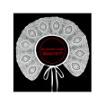 thumbnail image 4 of INSPIRE CHIC Detachable False Collar, Embroidery Mini Cape Neck Ruff Dickey Fake Collar for Blouse White-9, 4 of 5