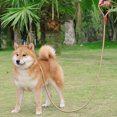 thumbnail image 4 of CBFFDC Pet Training Leash Quick Release Wear Resistant Long with Handle Swivel Clasp Design Reflective Pet Traction Leash Pet Leash, 4 of 7