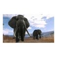 thumbnail image 2 of Cabela's Dangerous Hunts 2013 - Jeu en Ligne Gratuit Gratuit, 2 of 11