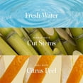 thumbnail image 2 of Athena Club, Skin Replenishing Body Wash, Sea Splash - 532mL, 2 of 3