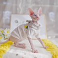 thumbnail image 4 of Pineapple Style Spring Summer Hairless Cat Clothes Fashion Sphinx Kitty Wearing Comfort Sphynx Cat Outfits, 4 of 5