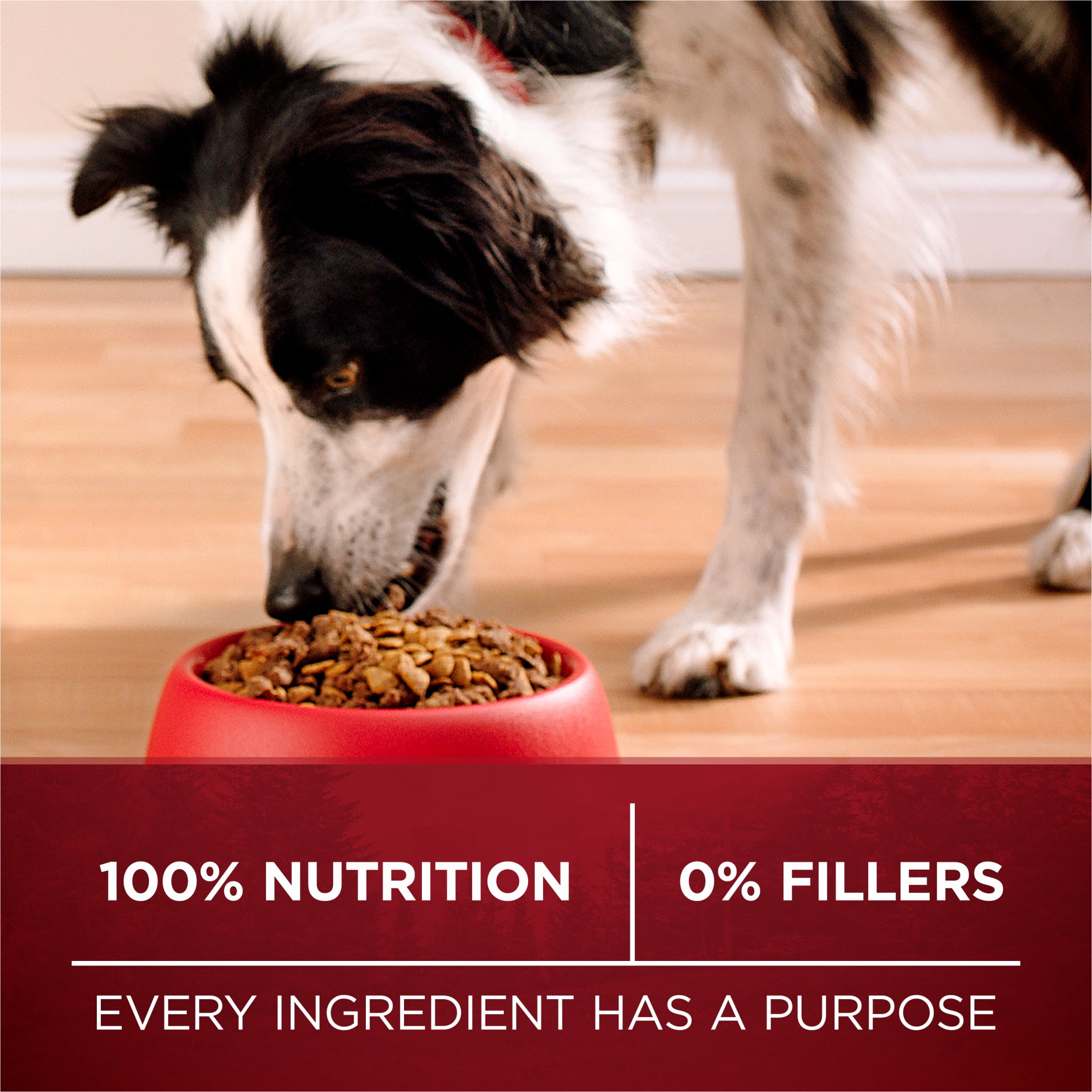 Purina ONE Vrai Instinct Boeuf & Bison, Nourriture Sèche pour Chiens 12.4kg