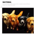 thumbnail image 4 of Modèle de Chien Animal Simulation Jouet pour Enfants Cadeau pour Enfants Golden Retriever, 4 of 8