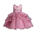 thumbnail image 1 of Robe de Princesse Sans Manches en Dentelle pour Fillette, Robe de Fête en Tulle, Vêtements de Cosplay, 1 of 9