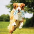 thumbnail image 3 of Dogit Minty Knotted Rope Bone Dog Toy, Large, 37cm, 3 of 3