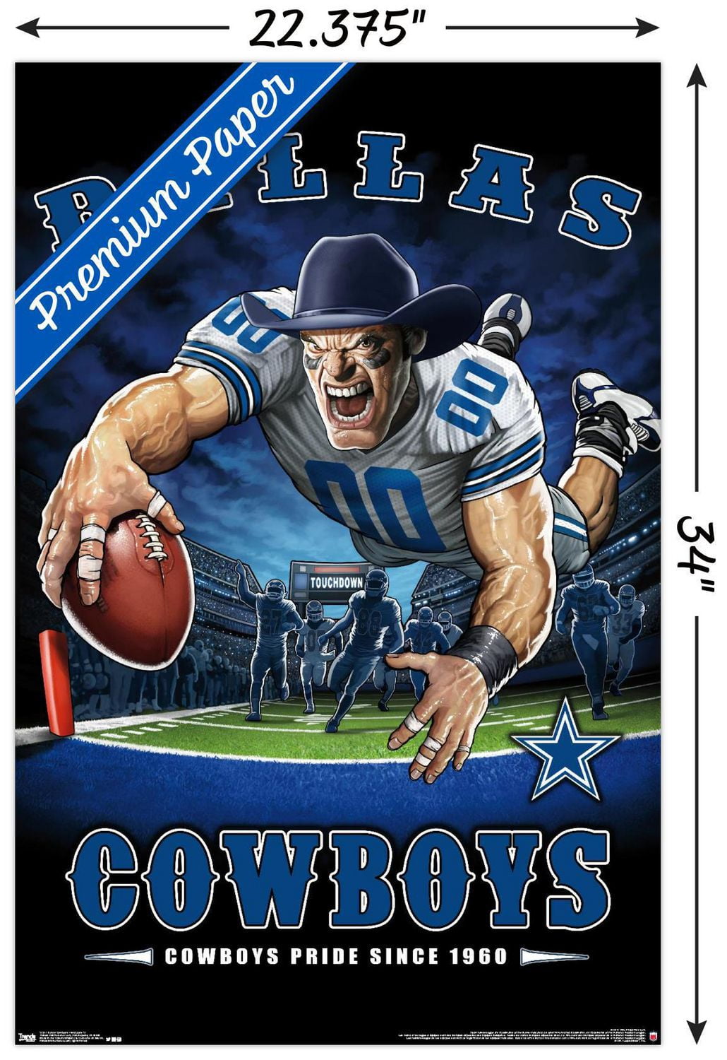 NFL Dallas Cowboys - End Zone 17
