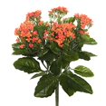 thumbnail image 1 of Vickerman 17.25" Orange Polyester Kalanchoe Bush With 70 Leaves And 150 Flowers And Buds, 1 of 3