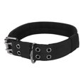thumbnail image 3 of Dog Collar, Easy To Adjust D Ring Buckle Durable Nylon Adjustable Neatly Stitched Collar  For Daily For Medium Dogs M,L,XL, 3 of 8