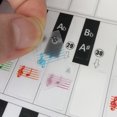 thumbnail image 3 of Amdohai Removable Piano Keyboard Stickers for 37/ 49/ 61/ 88, 3 of 8