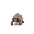 thumbnail image 3 of Schleich Giant Tortoise Wild Life Action Figure, 3 of 4