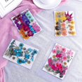 thumbnail image 5 of 144pcs Natural Dried Pressed Flowers For Resin,dry Flower Bulk Natural Herbs Kit For Candle,epoxy R (haoyi, 5 of 5