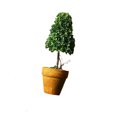 thumbnail image 1 of Elodie Artificial Potted Flower Bonsai Plastic Plant Tree for Table Desktop Garden decorative creative Gifts 1, 1 of 8