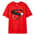 thumbnail image 2 of T-shirt à manches courtes Superman pour garçons, 2 of 3