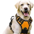 thumbnail image 1 of PawSafety No Pull Harness for - Ideal Solution for Everyday Use, 1 of 2