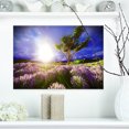 thumbnail image 1 of Lavender Field under Blue Sky - Modern Landscape Wall Art Canvas, 1 of 3